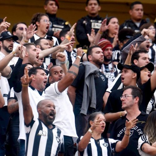 Botafogo: Conheça os principais momentos e conquistas do clube carioca, desde sua fundação até os dias atuaisBotafogo